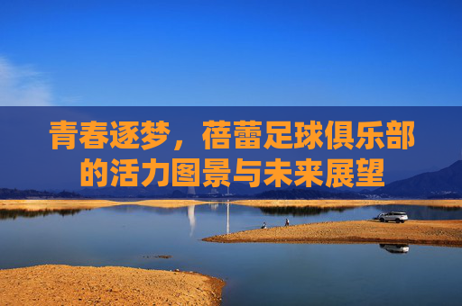 青春逐梦,蓓蕾足球俱乐部的活力图景与未来展望