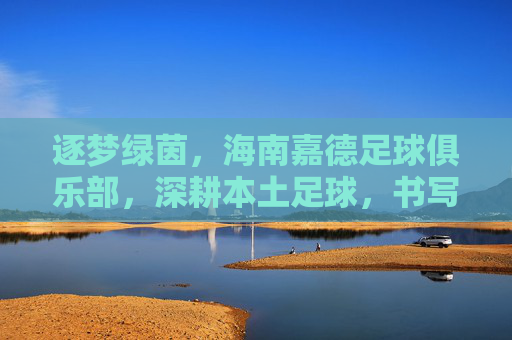 逐梦绿茵，海南嘉德足球俱乐部，深耕本土足球，书写海南足球新篇章，逐梦绿茵，海南嘉德足球俱乐部深耕本土足球书写海南足球新篇章