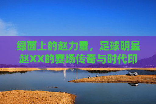 绿茵上的赵力量,足球明星赵XX的赛场传奇与时代印记