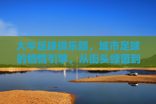 大牛足球俱乐部,城市足球的燃情引擎,从街头绿茵到职业赛场的新星