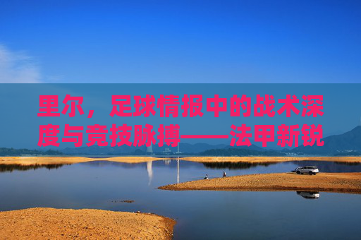 里尔,足球情报中的战术深度与竞技脉搏——法甲新锐的崛起密码