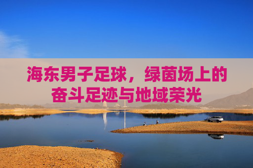 海东男子足球，绿茵场上的奋斗足迹与地域荣光