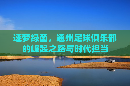逐梦绿茵，通州足球俱乐部的崛起之路与时代担当