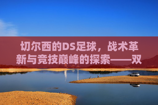 切尔西的DS足球,战术革新与竞技巅峰的探索——双后腰体系下的中场革命