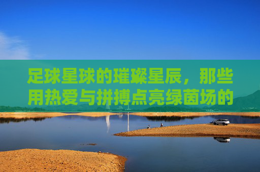 足球星球的璀璨星辰，那些用热爱与拼搏点亮绿茵场的传奇，足球星球的璀璨星辰，那些用热爱与拼搏点亮绿茵场的传奇