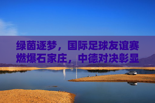 绿茵逐梦，国际足球友谊赛燃爆石家庄，中德对决彰显足球魅力与城市活力