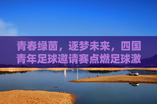 青春绿茵,逐梦未来,四国青年足球邀请赛点燃足球激情与希望
