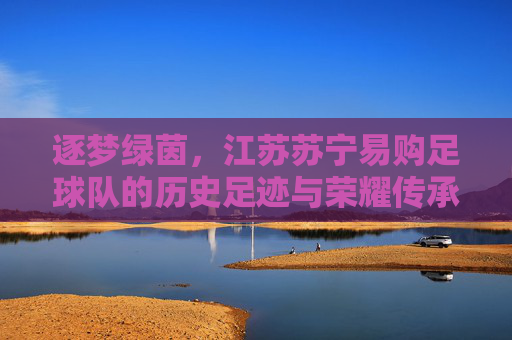 逐梦绿茵，江苏苏宁易购足球队的历史足迹与荣耀传承