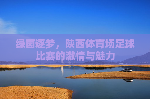 绿茵逐梦，陕西体育场足球比赛的激情与魅力