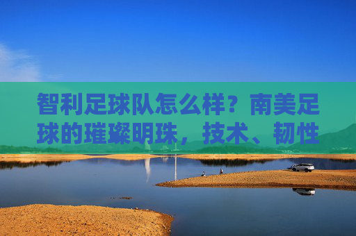 智利足球队怎么样?南美足球的璀璨明珠,技术、韧性与团队精神的完美融合