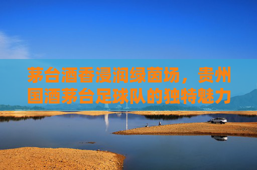 茅台酒香浸润绿茵场,贵州国酒茅台足球队的独特魅力与文化传承
