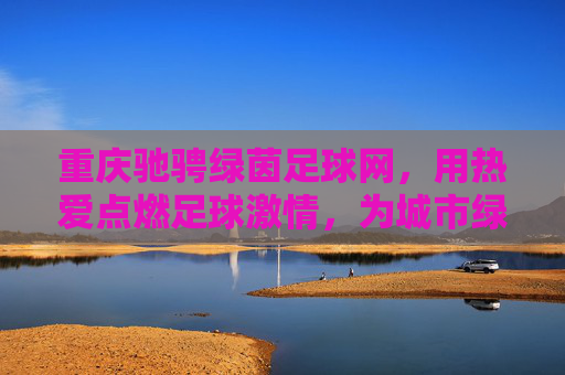 重庆驰骋绿茵足球网，用热爱点燃足球激情，为城市绿茵注入青春活力