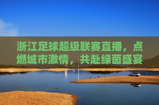 浙江足球超级联赛直播，点燃城市激情，共赴绿茵盛宴——赛事精彩与直播体验的双重魅力