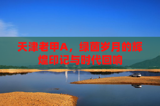 天津老甲A,绿茵岁月的辉煌印记与时代回响