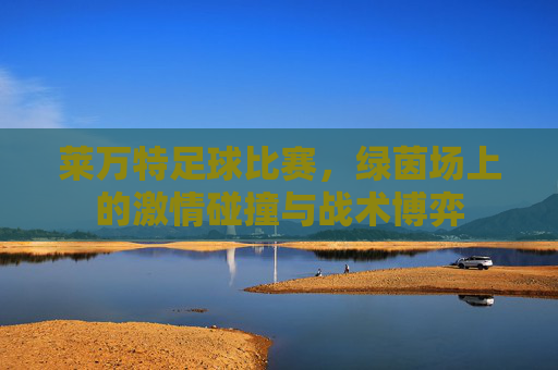 莱万特足球比赛,绿茵场上的激情碰撞与战术博弈
