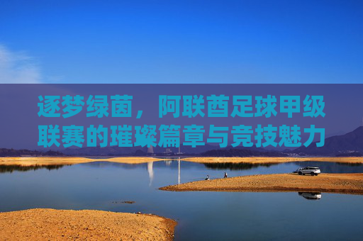 逐梦绿茵，阿联酋足球甲级联赛的璀璨篇章与竞技魅力