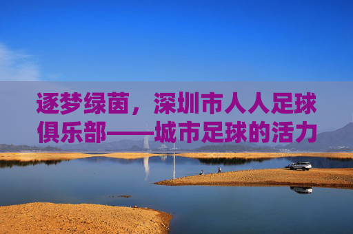 逐梦绿茵,深圳市人人足球俱乐部——城市足球的活力缩影与未来展望