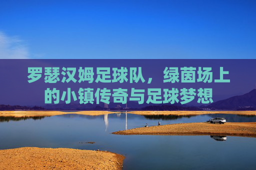 罗瑟汉姆足球队，绿茵场上的小镇传奇与足球梦想