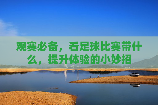 观赛必备，看足球比赛带什么，提升体验的小妙招
