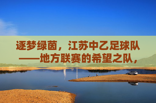 逐梦绿茵，江苏中乙足球队——地方联赛的希望之队，职业足球的潜力股