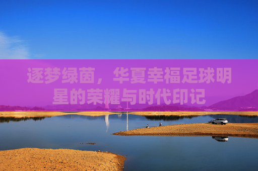 逐梦绿茵，华夏幸福足球明星的荣耀与时代印记