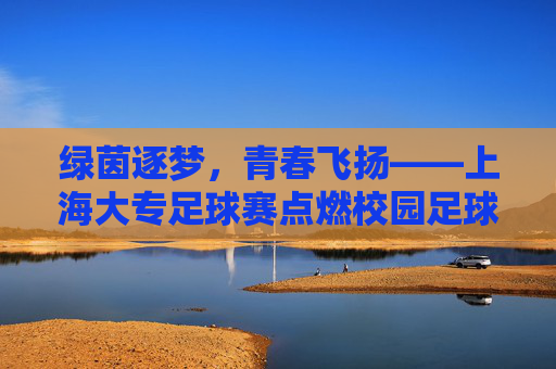 绿茵逐梦，青春飞扬——上海大专足球赛点燃校园足球新活力
