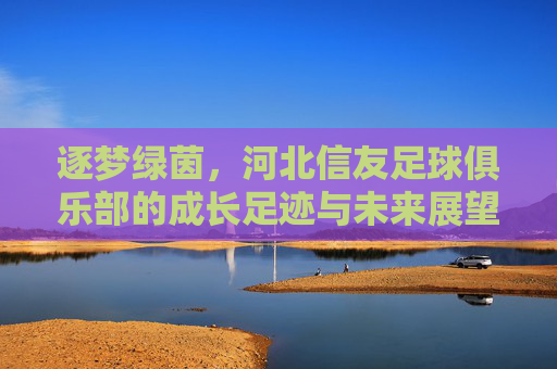 逐梦绿茵，河北信友足球俱乐部的成长足迹与未来展望