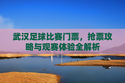 武汉足球比赛门票,抢票攻略与观赛体验全解析