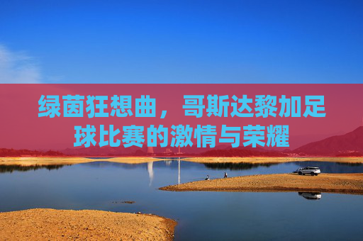 绿茵狂想曲,哥斯达黎加足球比赛的激情与荣耀