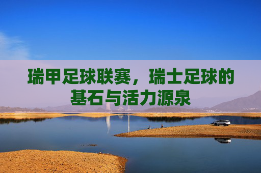 瑞甲足球联赛,瑞士足球的基石与活力源泉