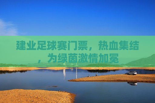建业足球赛门票,热血集结,为绿茵激情加冕