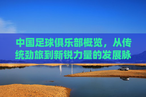 中国足球俱乐部概览,从传统劲旅到新锐力量的发展脉络,中国足球俱乐部发展概览,传统劲旅与新锐力量的演进轨迹