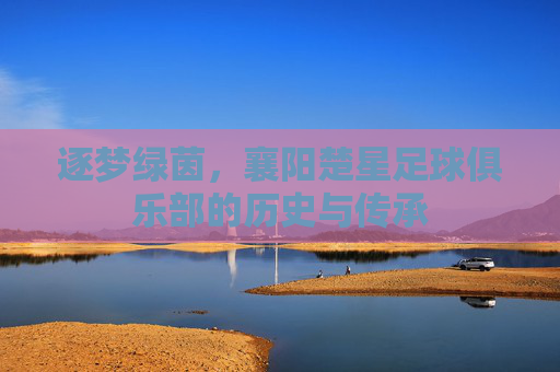 逐梦绿茵，襄阳楚星足球俱乐部的历史与传承