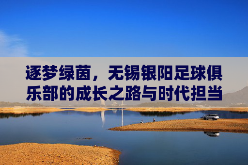 逐梦绿茵,无锡银阳足球俱乐部的成长之路与时代担当