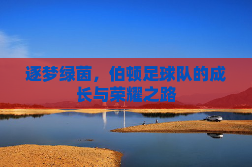 逐梦绿茵,伯顿足球队的成长与荣耀之路