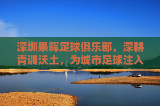 深圳果辉足球俱乐部，深耕青训沃土，为城市足球注入青春力量