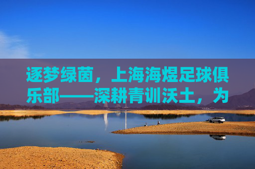 逐梦绿茵,上海海煜足球俱乐部——深耕青训沃土,为足球未来注入青春力量