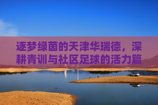 逐梦绿茵的天津华瑞德,深耕青训与社区足球的活力篇章,逐梦绿茵的天津华瑞德,深耕青训与社区足球的活力篇章