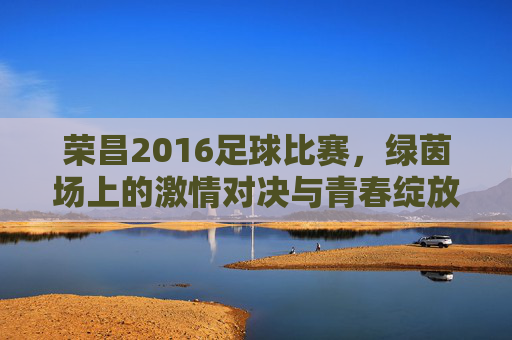 荣昌2016足球比赛,绿茵场上的激情对决与青春绽放,荣昌2016足球比赛,绿茵场上的激情对决与青春绽放