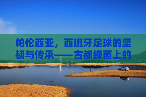 帕伦西亚，西班牙足球的坚韧与传承——古都绿茵上的百年坚守，帕伦西亚，西班牙足球的坚韧与传承——古都绿茵上的百年坚守