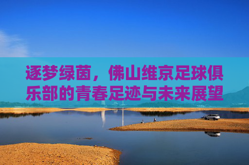 逐梦绿茵，佛山维京足球俱乐部的青春足迹与未来展望，逐梦绿茵，佛山维京足球俱乐部的青春足迹与未来展望
