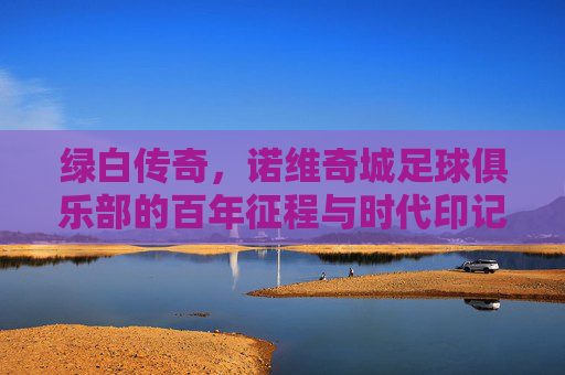 绿白传奇,诺维奇城足球俱乐部的百年征程与时代印记,绿白传奇,诺维奇城足球俱乐部的百年征程与时代印记