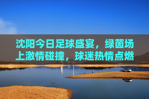 沈阳今日足球盛宴，绿茵场上激情碰撞，球迷热情点燃城市活力