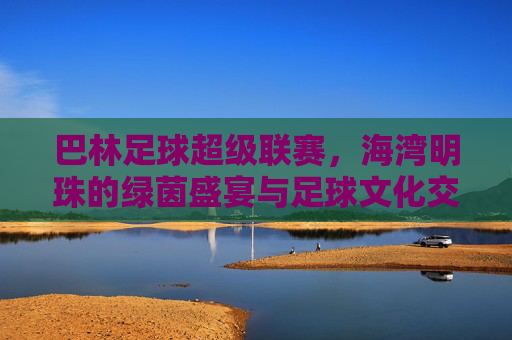 巴林足球超级联赛，海湾明珠的绿茵盛宴与足球文化交融，巴林足球超级联赛，海湾明珠的绿茵盛宴与足球文化交融