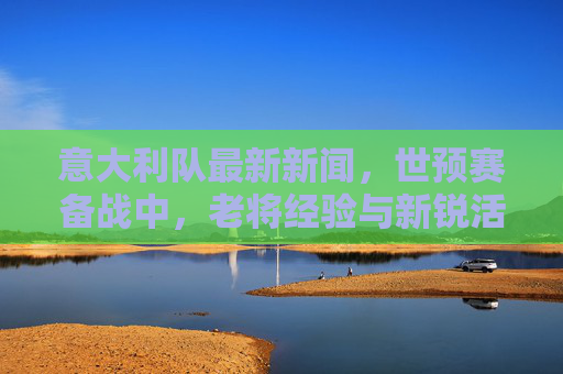 意大利队最新新闻,世预赛备战中,老将经验与新锐活力碰撞,战术调整成焦点,意大利世预赛备战,老将经验与新锐碰撞,战术调整成焦点