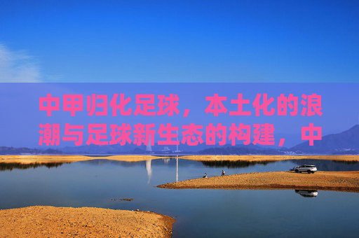 中甲归化足球，本土化的浪潮与足球新生态的构建，中甲归化足球，本土化浪潮与足球新生态的构建