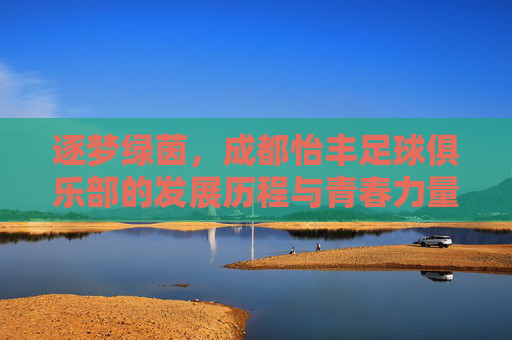 逐梦绿茵，成都怡丰足球俱乐部的发展历程与青春力量，逐梦绿茵，成都怡丰足球俱乐部的发展历程与青春力量