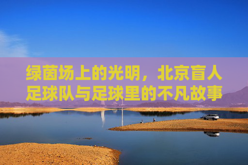绿茵场上的光明,北京盲人足球队与足球里的不凡故事,绿茵之光,北京盲人足球队的不凡足球故事