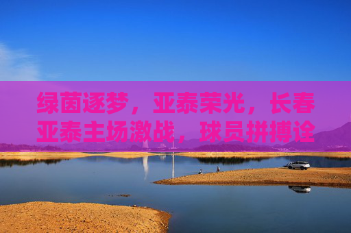绿茵逐梦，亚泰荣光，长春亚泰主场激战，球员拼搏诠释足球魅力，绿茵逐梦，亚泰荣光，长春亚泰主场激战，球员拼搏诠释足球魅力