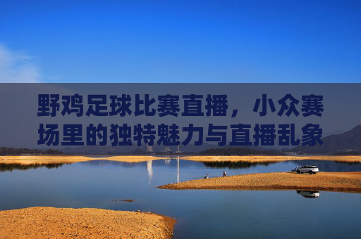 野鸡足球比赛直播,小众赛场里的独特魅力与直播乱象,野鸡足球比赛直播,小众赛场里的独特魅力与乱象交织